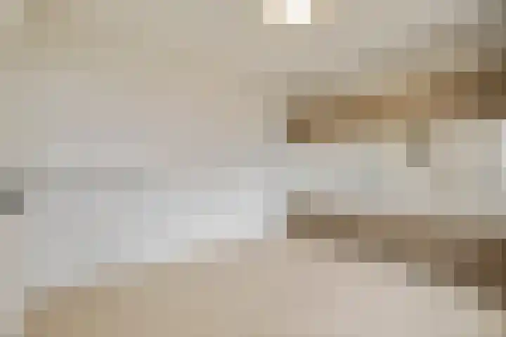 Achterwerf 117 Almere thumbnail 9