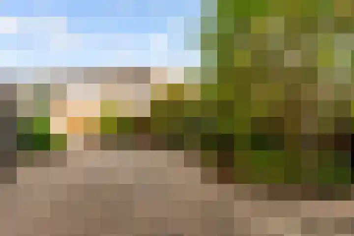Achterwerf 125 Almere thumbnail 33