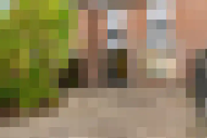 Achterwerf 125 Almere thumbnail 37