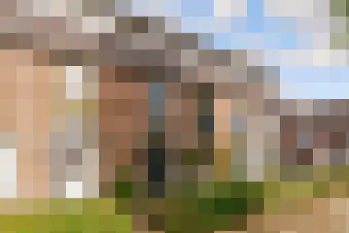Achterwerf 125 Almere thumbnail 42