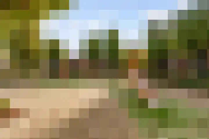 Achterwerf 125 Almere thumbnail 44