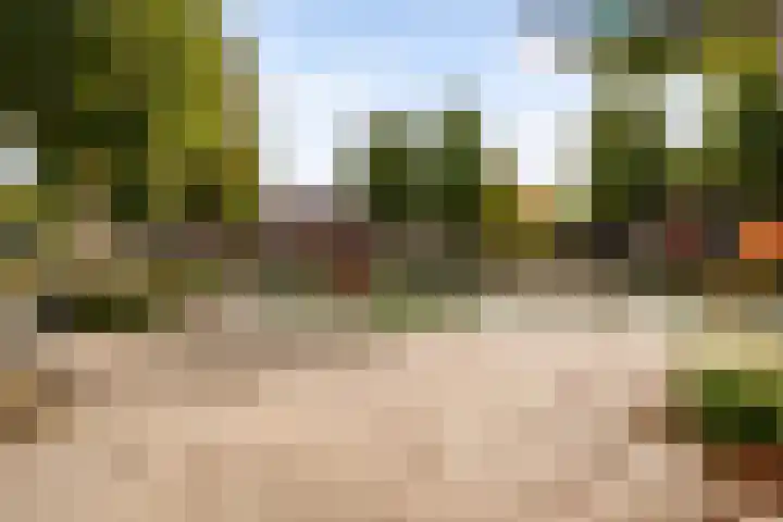 Achterwerf 125 Almere thumbnail 45