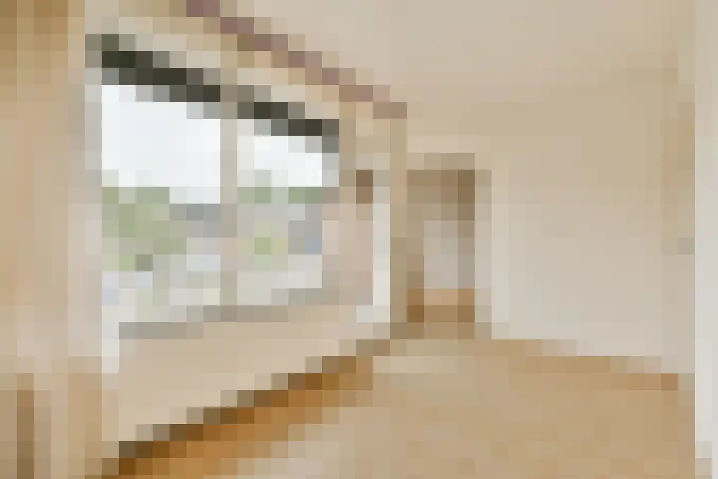 Achterwerf 192 Almere thumbnail 12