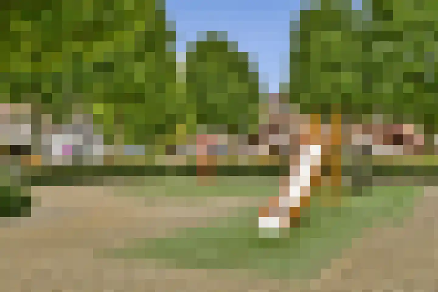 Achterwerf 192 Almere thumbnail 30
