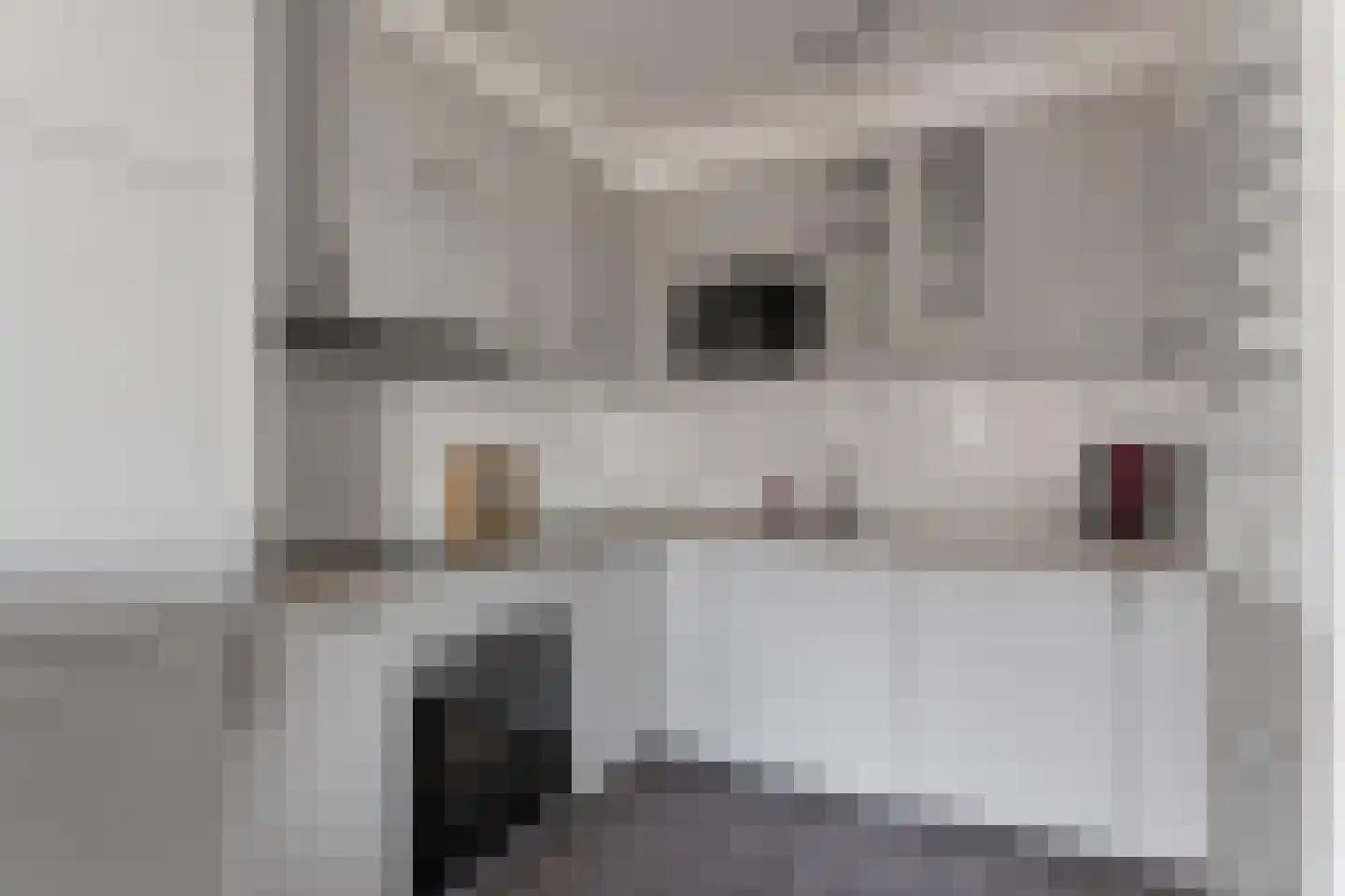 Achterwerf 287 Almere thumbnail 13
