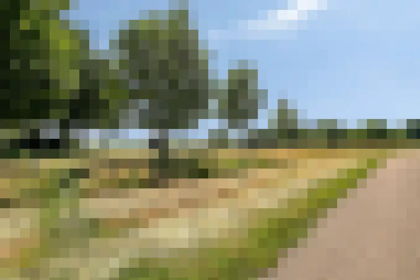 Achterwerf 351 Almere thumbnail 30