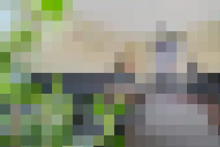 Achterwerf 53 Almere thumbnail 12