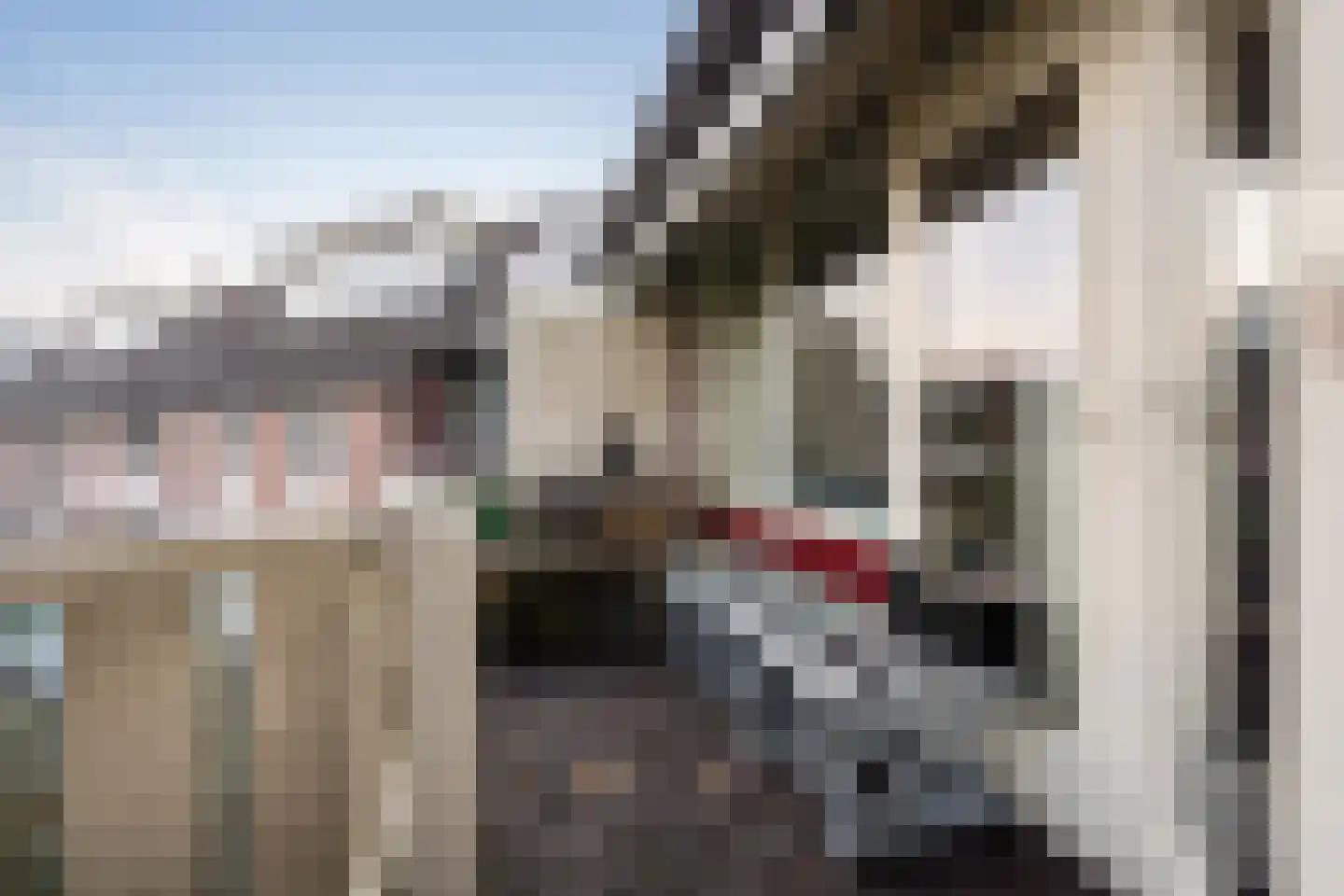 Achterwerf 53 Almere thumbnail 15