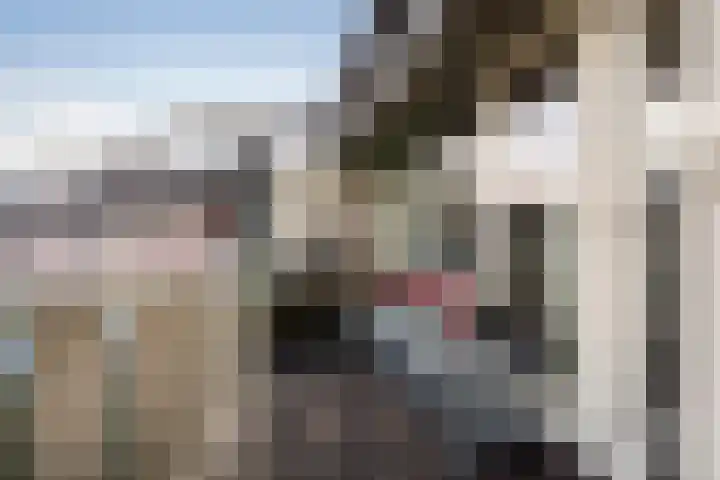 Achterwerf 53 Almere thumbnail 15