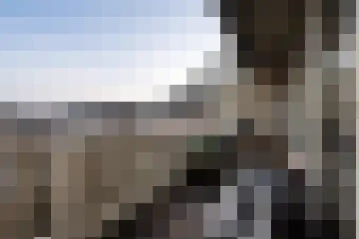 Achterwerf 53 Almere thumbnail 17