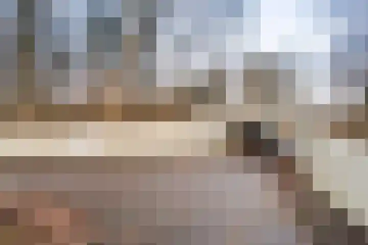 Achterwerf 53 Almere thumbnail 50