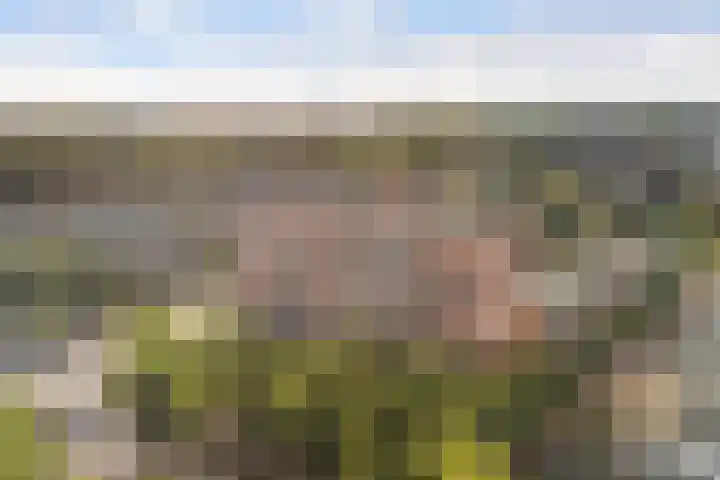 Achterwerf 87 Almere thumbnail 28