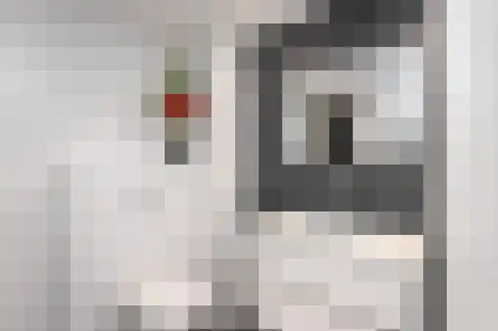 Achterwerf 87 Almere thumbnail 32