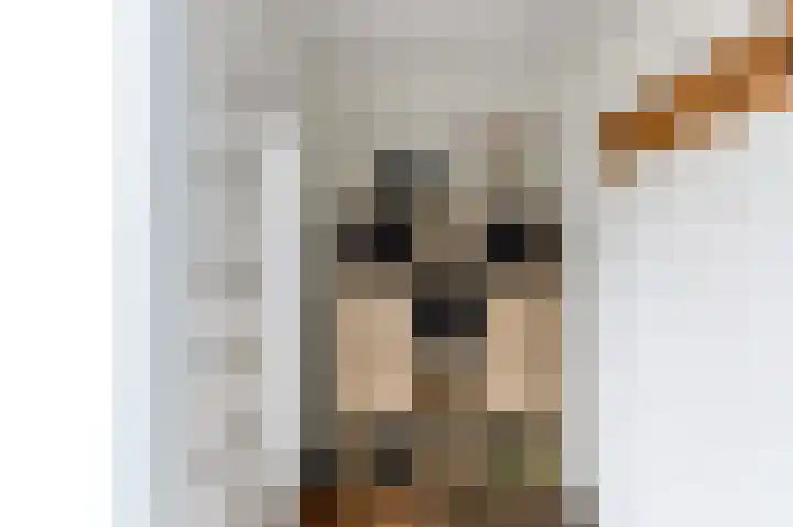 Achterwerf 87 Almere thumbnail 9