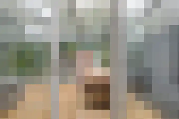 Achterwerf 89 Almere thumbnail 14