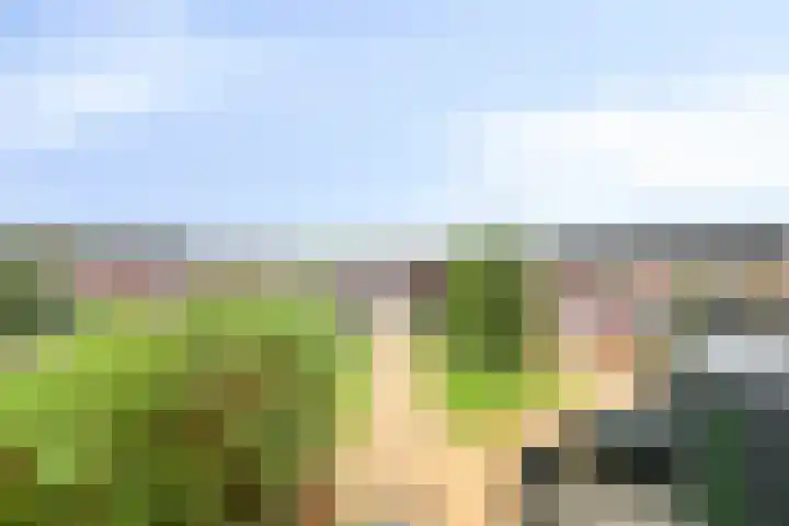 Achterwerf 89 Almere thumbnail 21