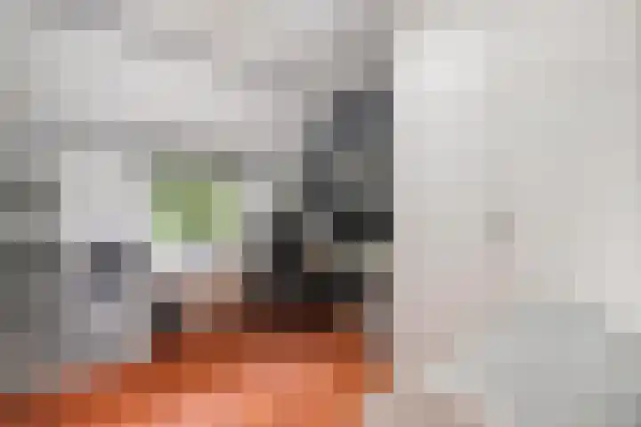 Achterwerf 89 Almere thumbnail 24