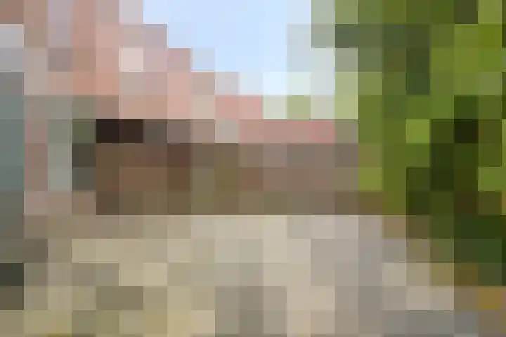 Achterwerf 89 Almere thumbnail 30