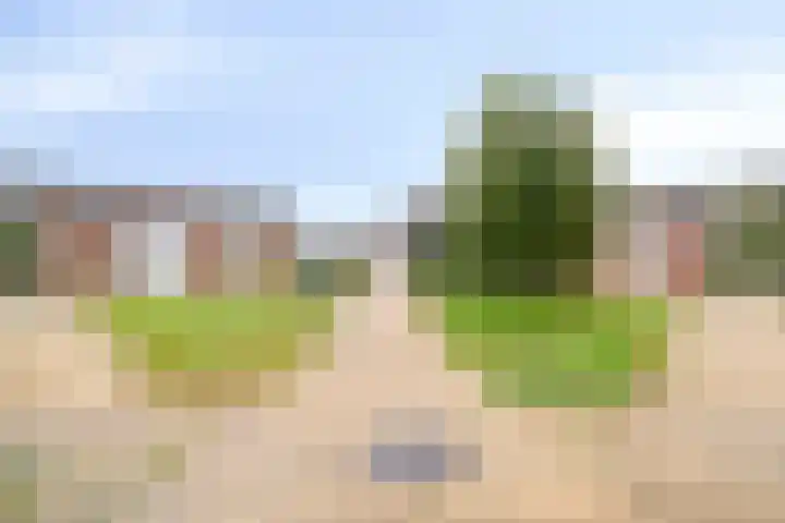 Achterwerf 89 Almere thumbnail 32