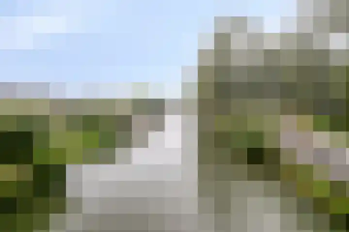 Achterwerf 89 Almere thumbnail 33