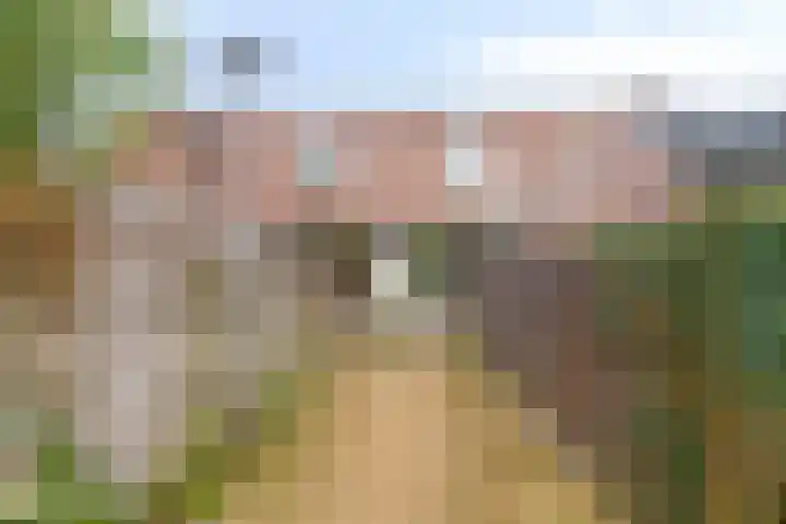 Achterwerf 89 Almere thumbnail 5