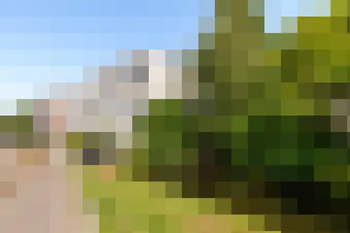 Achterwillenseweg 1 c Gouda thumbnail 34
