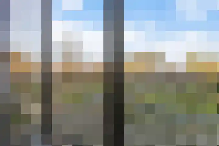 Achterwillenseweg 22 f Gouda thumbnail 35