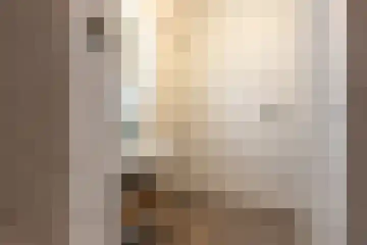 Achterwillenseweg 22 f Gouda thumbnail 47