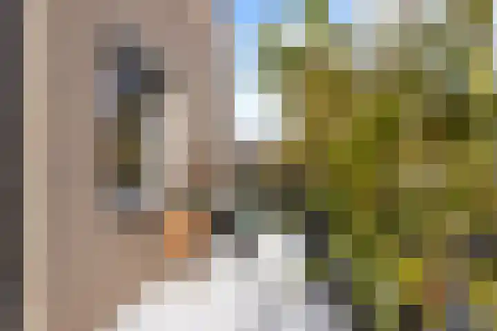Achterwillenseweg 22 f Gouda thumbnail 53