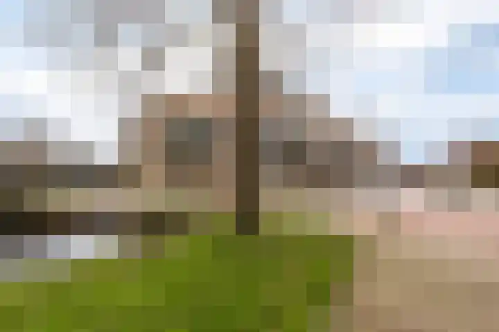 Achterwillenseweg 22 f Gouda thumbnail 63