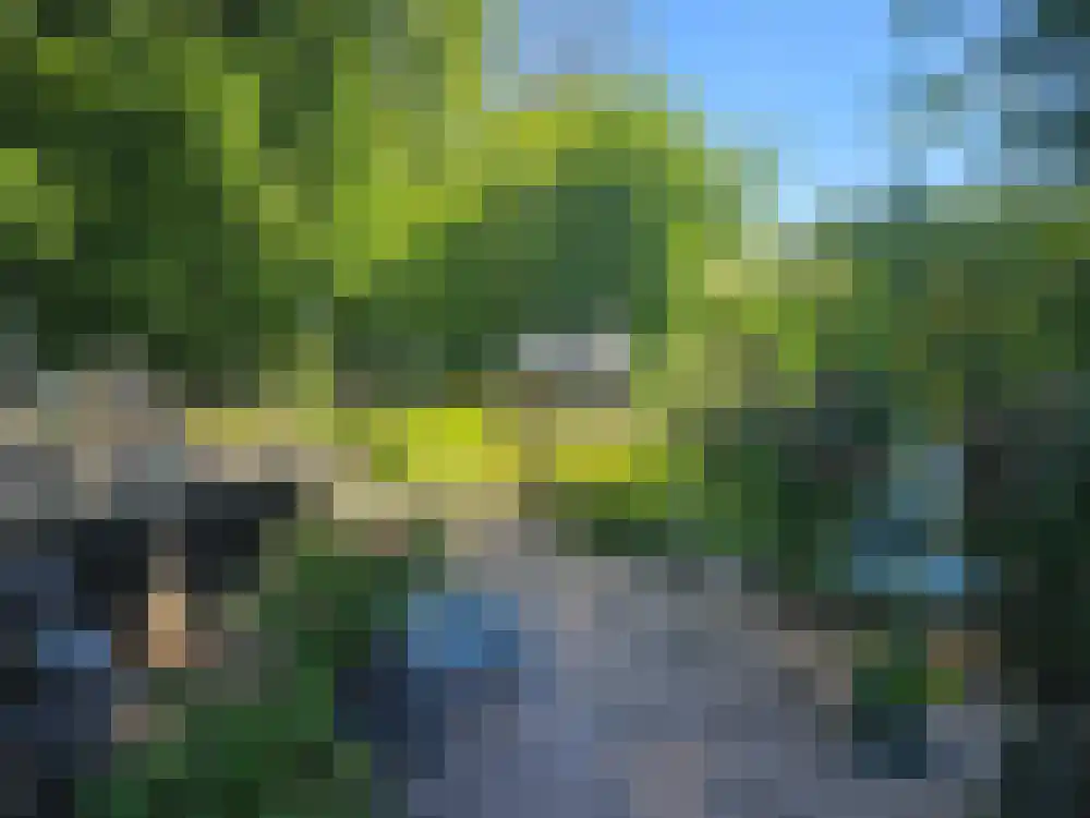Achterzeedijk 1 a 22 Barendrecht thumbnail 12