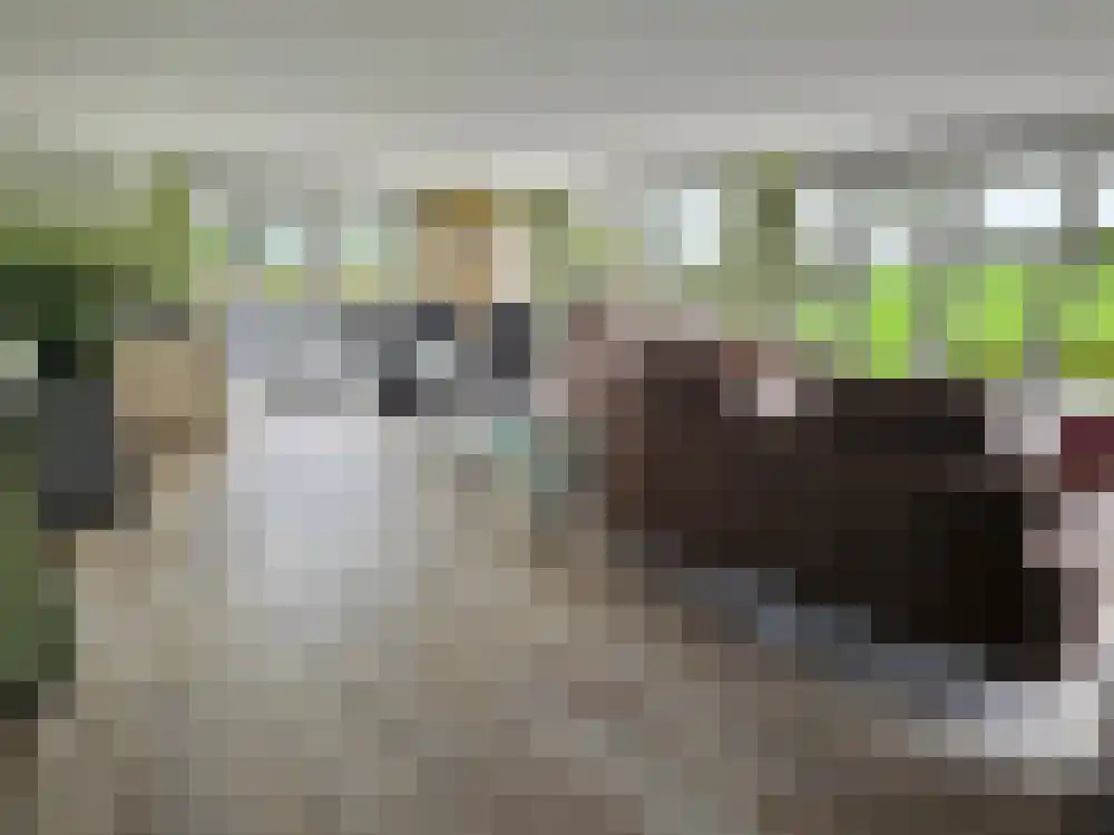 Achterzeedijk 1 a 42 Barendrecht thumbnail 7