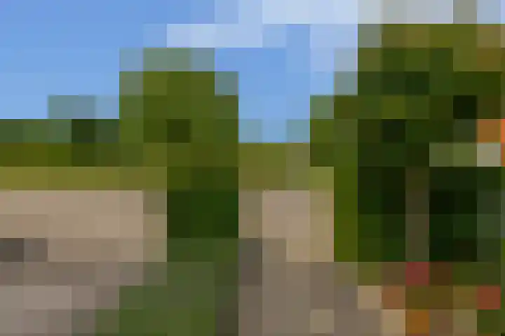 Achterzeedijk 4 a Barendrecht thumbnail 12