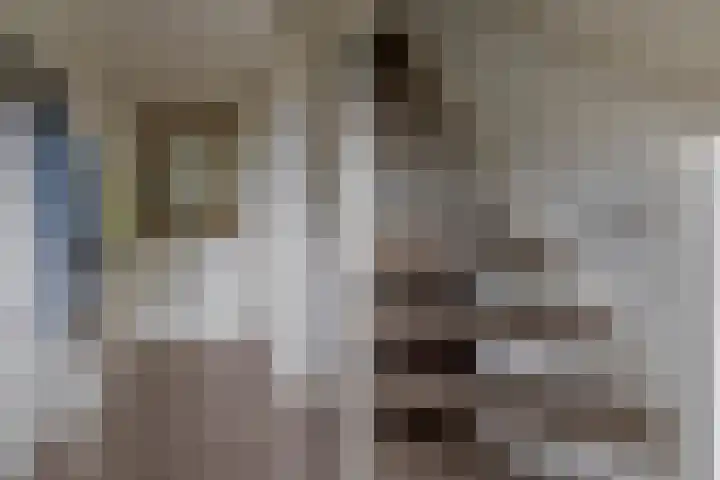 Achterzeedijk 4 a Barendrecht thumbnail 17