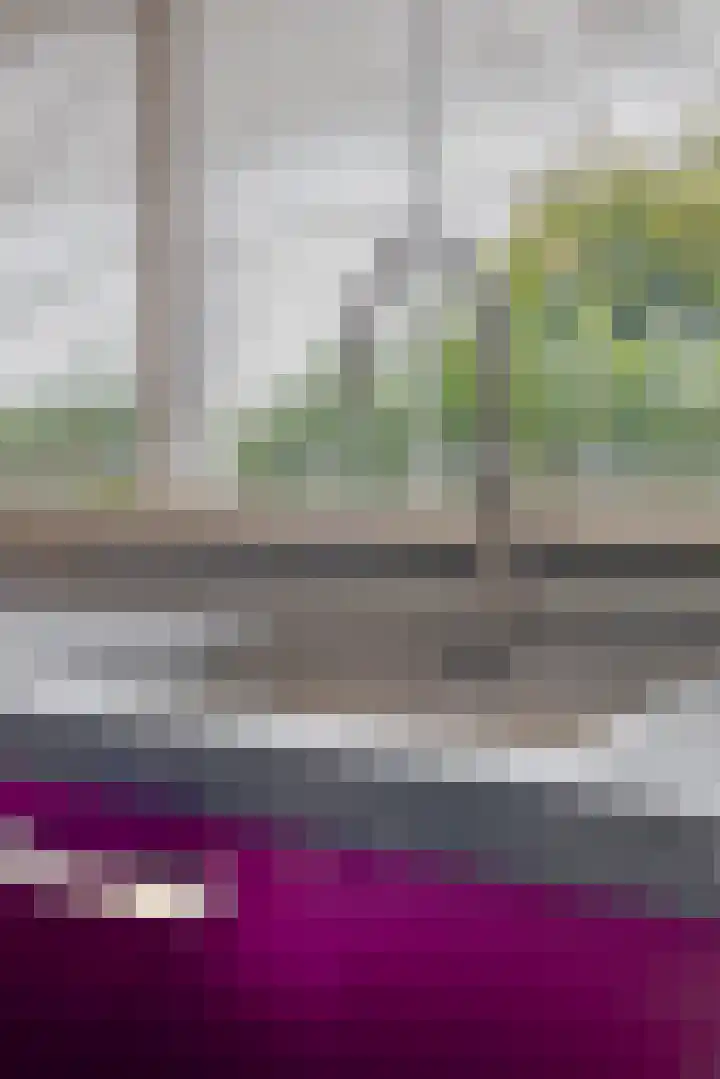 Achterzeedijk 4 a Barendrecht thumbnail 31