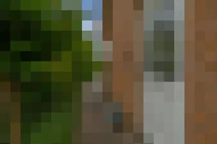 Achterzeedijk 4 a Barendrecht thumbnail 33