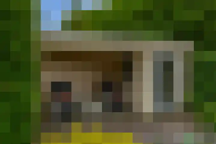Achterzeedijk 4 a Barendrecht thumbnail 35