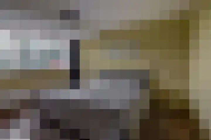 Achterzeedijk 4 a Barendrecht thumbnail 4