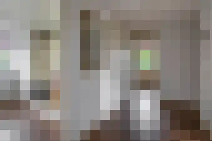 Achterzeedijk 4 a Barendrecht thumbnail 40