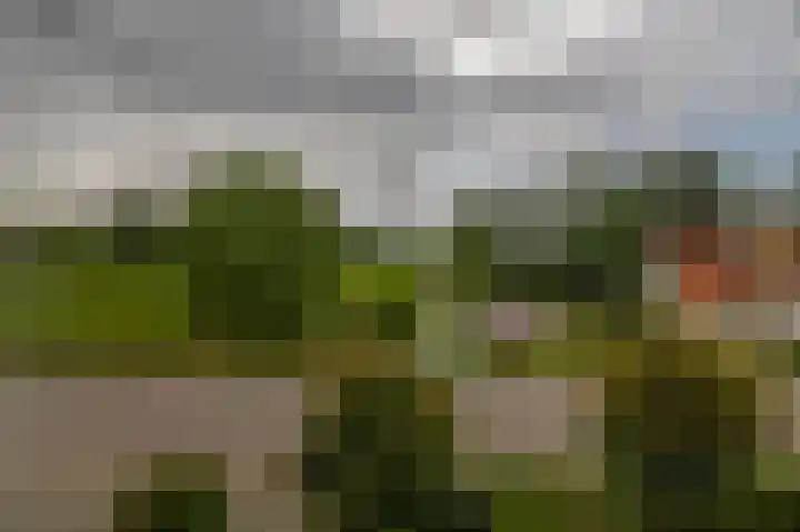 Achterzeedijk 4 a Barendrecht thumbnail 43