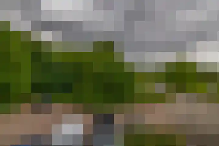 Achterzeedijk 4 a Barendrecht thumbnail 46