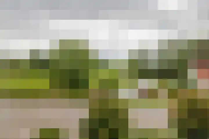 Achterzeedijk 4 a Barendrecht thumbnail 51