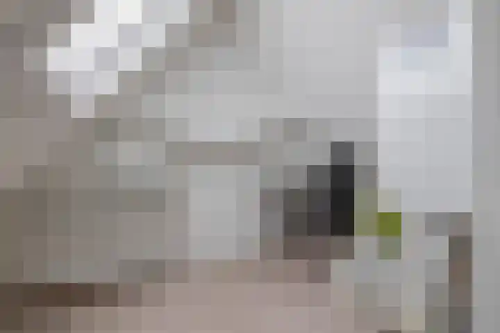 Achterzeedijk 4 a Barendrecht thumbnail 54