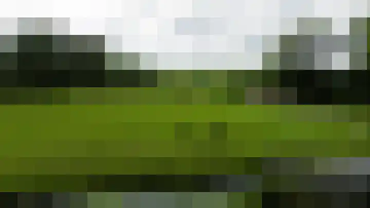 Achterzeedijk 4 a Barendrecht thumbnail 66