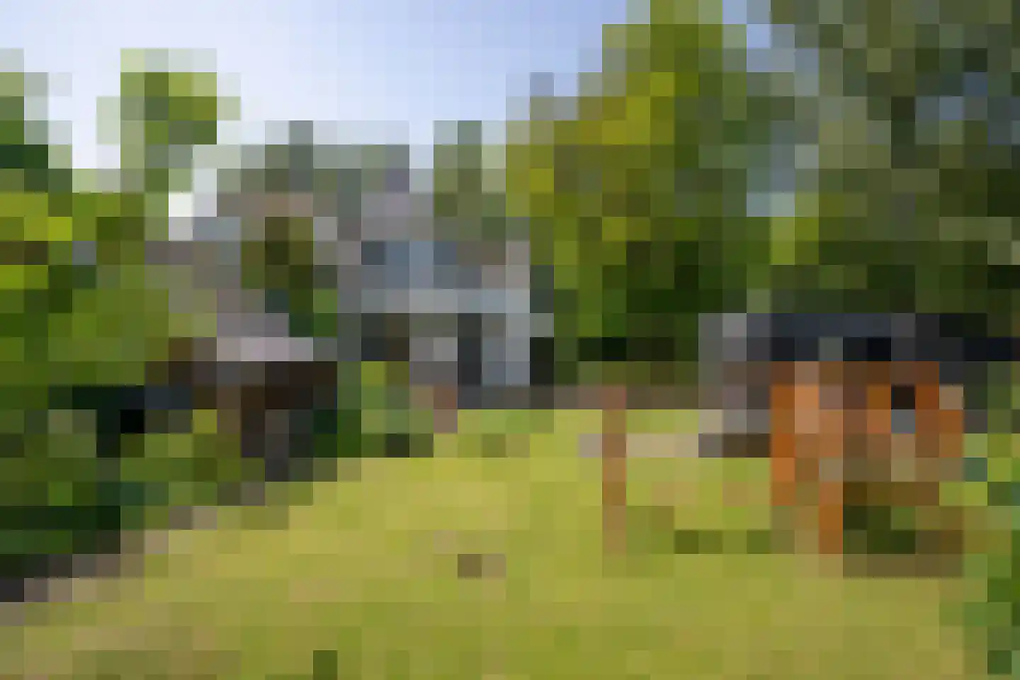 Achterzeedijk 71 Barendrecht thumbnail 30
