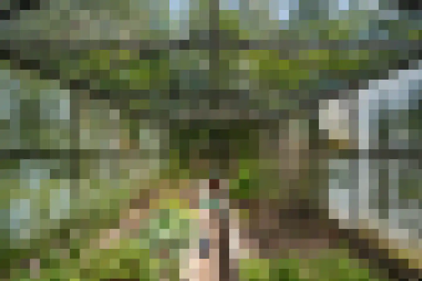 Achterzeedijk 71 Barendrecht thumbnail 33