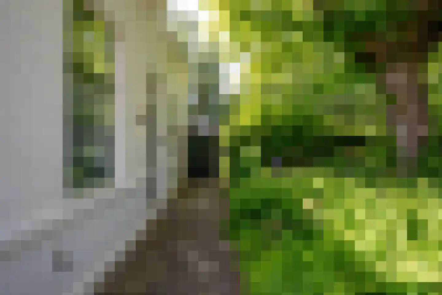 Achterzeedijk 71 Barendrecht thumbnail 35