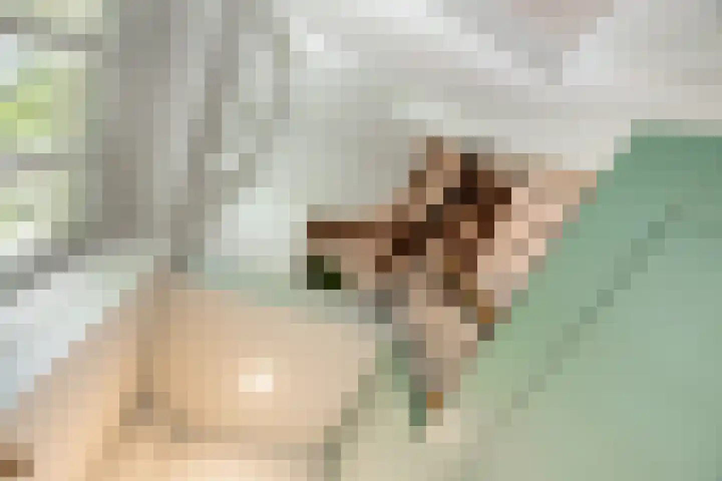 Achterzeedijk 71 Barendrecht thumbnail 6