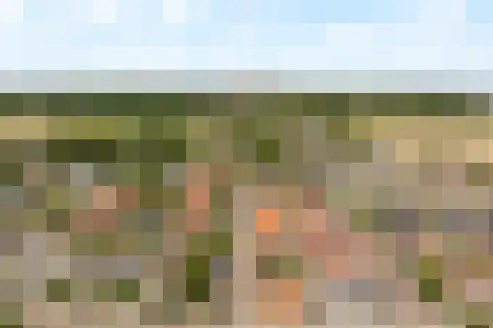 Achterzeeweg 15 Noordwijk thumbnail 4