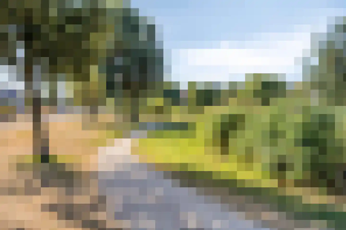 Achterzeeweg 24 Noordwijk thumbnail 25